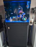 Zeewater aquarium 140 liter, Ophalen, Zo goed als nieuw, Leeg aquarium