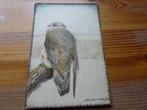 Vogel prenten op briefkaart, Gebruikt, Ophalen of Verzenden, Voor 1940, Dier