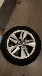 Norfolk volkswagen velgen 16inch, Velg(en), 16 inch, All Season, 205 mm