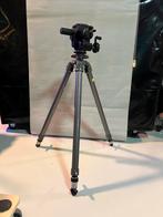Gebruikte Gitzo statief met Manfrotto #400 balhoofd, Audio, Tv en Foto, Fotografie | Statieven en Balhoofden, Gebruikt, 150 tot 175 cm
