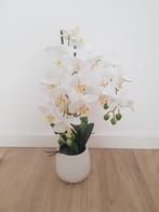 Mooie orchidee, Ophalen of Verzenden, Nieuw