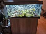 Aangeboden Juwel RIO 180 inclusief meubel, Ophalen, Leeg aquarium