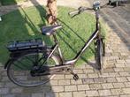 te koop pegasus e bike met bosch active plus motor, 55 tot 59 cm, Ophalen, Overige merken