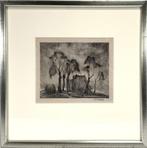 Litho Johann Faber, landschap met bomen en boerderij, Antiek en Kunst, Kunst | Litho's en Zeefdrukken, Ophalen of Verzenden