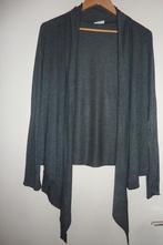 2 dames vesten, maat: L, Maat 42/44 (L), Ophalen of Verzenden, Roze, Gedragen