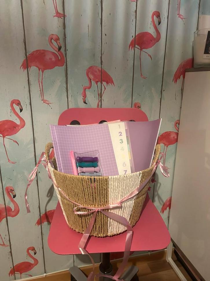 Cute Pastel Schoolpakket (schriften + multomap + markers), Diversen, Schoolbenodigdheden, Zo goed als nieuw, Ophalen