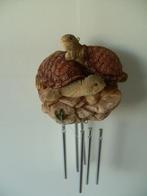 WINDGONG SCHILPADJES POLYSTONE Nieuw, -, -, Nieuw, Ophalen of Verzenden