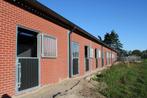 Staldeur | Boven en onderdeur | Draaideur | Loopdeur | 16, Weidegang, 4 paarden of pony's of meer