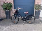 Popal Daily Dutch meisjes transportfiets 26 inch, Fietsen en Brommers, Ophalen, Gebruikt, Minder dan 47 cm, Popal Daily Dutch