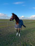 Springpaard gezocht, Dieren en Toebehoren, Ophalen of Verzenden, Gebruikt