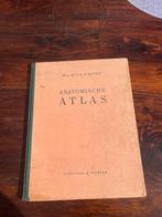 Anatomische atlas (1952) prof. Dr. CHR. P. Raven, Ophalen of Verzenden, Gelezen