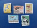 Postzegel NL 1961 PF Complete Serie Zomerzegels Vogels  20-3, Postzegels en Munten, Na 1940, Ophalen of Verzenden, Postfris
