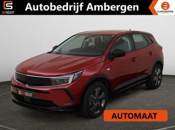 Opel Grandland 1.2 Turbo (130Pk) GS Navi Winterpakket El. A. beschikbaar voor biedingen