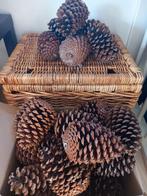 25 Hele grote dennenappels XL, Hobby en Vrije tijd, Knutselen, Ophalen of Verzenden, Nieuw, Materiaal