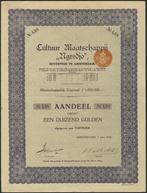 aandeel NEGREDJO CULTUURMIJ 1926, Postzegels en Munten, Aandelen en Waardepapieren, Ophalen of Verzenden, 1920 tot 1950, Aandeel