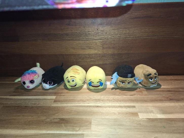 Ty Teeny 10 cm en sleutelhangers 11 cm, Kinderen en Baby's, Speelgoed | Knuffels en Pluche, Zo goed als nieuw, Overige typen, Ophalen of Verzenden