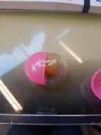 Gevulde capsules 800 stuks, Ophalen