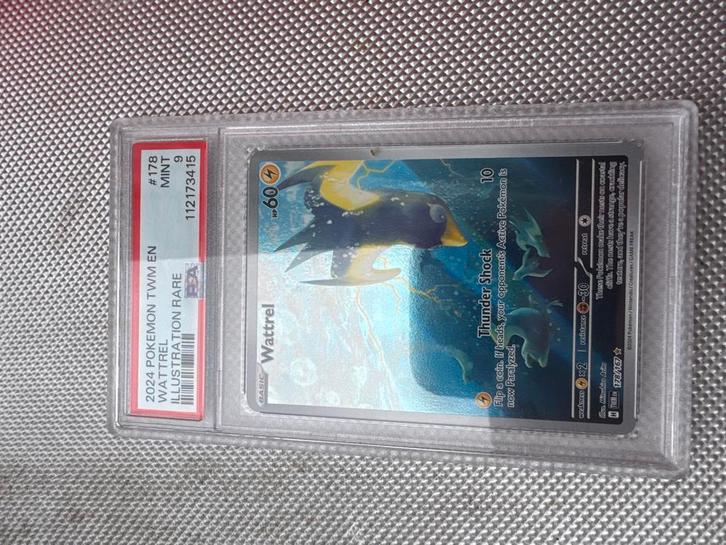 Wattrel 178/167 PSA 9 - Illustration Rare Pokémonkaart, Hobby en Vrije tijd, Verzamelkaartspellen | Pokémon, Nieuw, Losse kaart