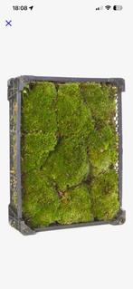 Bolmos in krat, Ophalen, Minder dan 100 cm