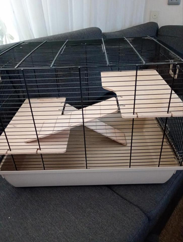 Hamster kooi, Dieren en Toebehoren, Knaagdieren en Konijnen | Hokken en Kooien, Gebruikt, Kooi, Minder dan 60 cm, Minder dan 75 cm
