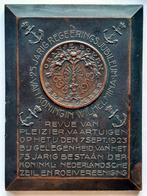 Wilhelmina / KNZRV jubileum 1923, Verzenden, Brons, Nederland