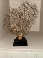Zeewaaier goud op voet woonaccessoires vakkenkast chique, Huis en Inrichting, Woonaccessoires | Overige, Ophalen of Verzenden