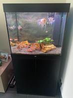 Aquarium Lido 200 + compleet CO2 systeem + doseerpomp, Ophalen, Zo goed als nieuw, Gevuld zoetwateraquarium