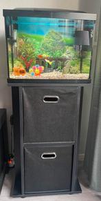 Aquarium Superfish 45 met meubel, Dieren en Toebehoren, Vissen | Aquaria en Toebehoren, Ophalen, Zo goed als nieuw, Gevuld zoetwateraquarium