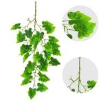 DRUIVEN RANK - KUNST TAK - HANGING GARDEN, Ophalen of Verzenden