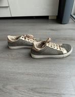 Glitter basket sneakers, Overige kleuren, Ophalen of Verzenden, Sneakers of Gympen, Gedragen