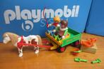 manege Rosa 3713 ponywagen 100% nostalgie vintage zeldzaam, Kinderen en Baby's, Speelgoed | Playmobil, Ophalen of Verzenden, Zo goed als nieuw