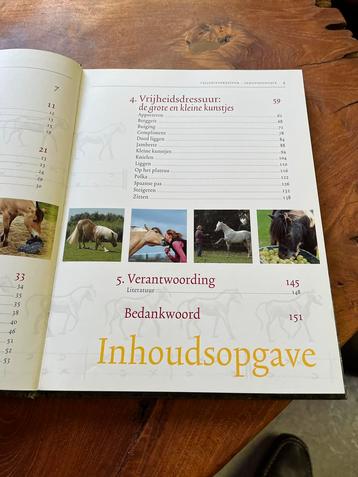 Vrijheidsdressuur - Miriam Nieuwe Weme beschikbaar voor biedingen