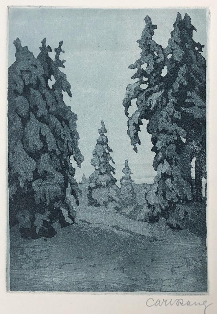 Mooie en betaalbare kunst v/h Grafiekkabinet, Antiek en Kunst, Kunst | Etsen en Gravures, Verzenden