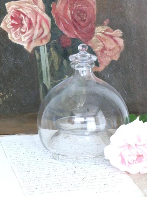 Antieke glazen wespenvanger, Antiek en Kunst, Curiosa en Brocante, Ophalen of Verzenden