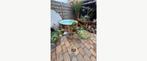 Plant “Monstera” twee stuk, Ophalen, Overige soorten, Volle zon
