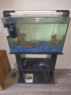 Superfish Home 110 met onderkast & tetra luchtpomp (110 ltr), Dieren en Toebehoren, Vissen | Aquaria en Toebehoren, Ophalen, Zo goed als nieuw