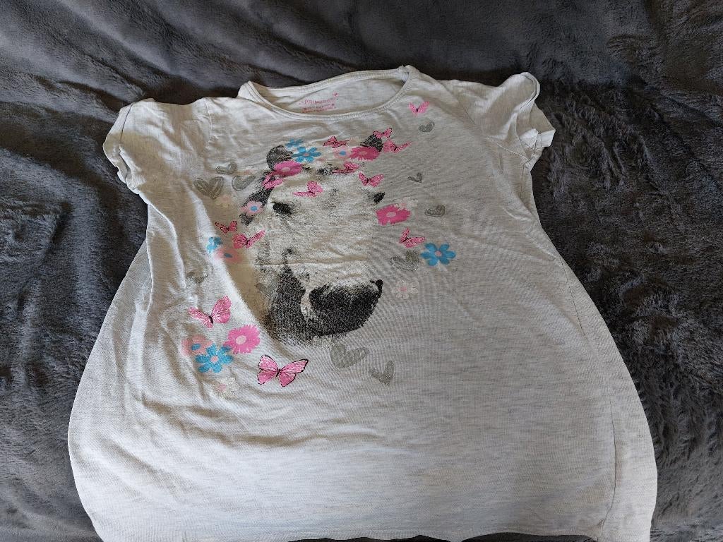 T shirt maat 12 jaar voor paardenmeisje, Kinderen en Baby's, Kinderkleding | Maat 146, Ophalen of Verzenden, Zo goed als nieuw