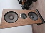 Semi actieve open baffle met Lowther pm2c breedband unit., Audio, Tv en Foto, Luidsprekers, Overige merken, Ophalen of Verzenden