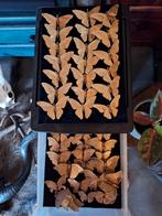 Gouden Vlinders Collectie, Ophalen of Verzenden