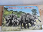 plaatjesalbum van Afrikaanse dieren, Boeken, Prentenboeken en Plaatjesalbums, Gelezen, Ophalen of Verzenden, Plaatjesalbum