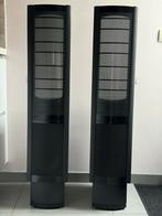 Martin Logan Scenario electrostatische luidsprekers., Audio, Tv en Foto, Luidsprekers, Gebruikt, 120 watt of meer, Front, Rear of Stereo speakers
