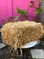 🫏 STROBAAL  🎄 Kerststal  🐄 School  🌠, Ophalen, Nieuw