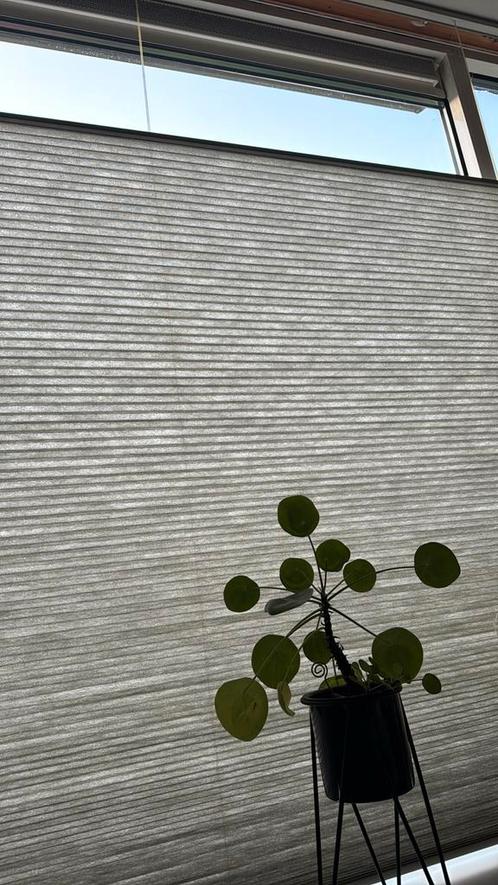 Plissé gordijnen Veneta Kleur: Four leaf clover, Huis en Inrichting, Stoffering | Gordijnen en Lamellen, Zo goed als nieuw, Ophalen of Verzenden