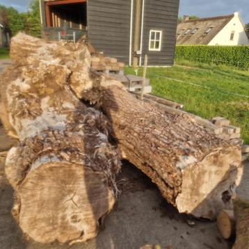 Openhaardhout.  Brandhout  beschikbaar voor biedingen
