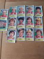 14 panini plaatjes AJAX 1982, Verzamelen, Ophalen of Verzenden, Zo goed als nieuw, Ajax, Poster, Plaatje of Sticker