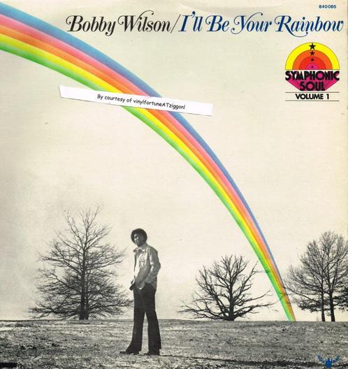 Bobby Wilson:"I'll Be Your Rainbow" Fr. Buddah 840085 uit 75, Cd's en Dvd's, Vinyl | R&B en Soul, Soul of Nu Soul, 1960 tot 1980