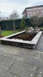 Vijver met pomp en vissen, Tuin en Terras, Vijvers, Ophalen, Gebruikt