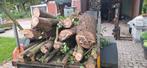 Eiken haardout in stammen., Tuin en Terras, Minder dan 3 m³, Ophalen