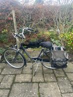 Gazelle fiets Accent, Ophalen, Gebruikt, Versnellingen, Minder dan 47 cm