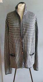 Julien le roy vest, Ophalen of Verzenden, Zo goed als nieuw, Maat 46/48 (XL) of groter, Grijs